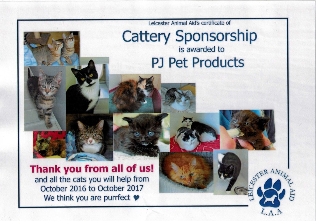 Leicester Amimal Aid Cattery Sponorship [3]