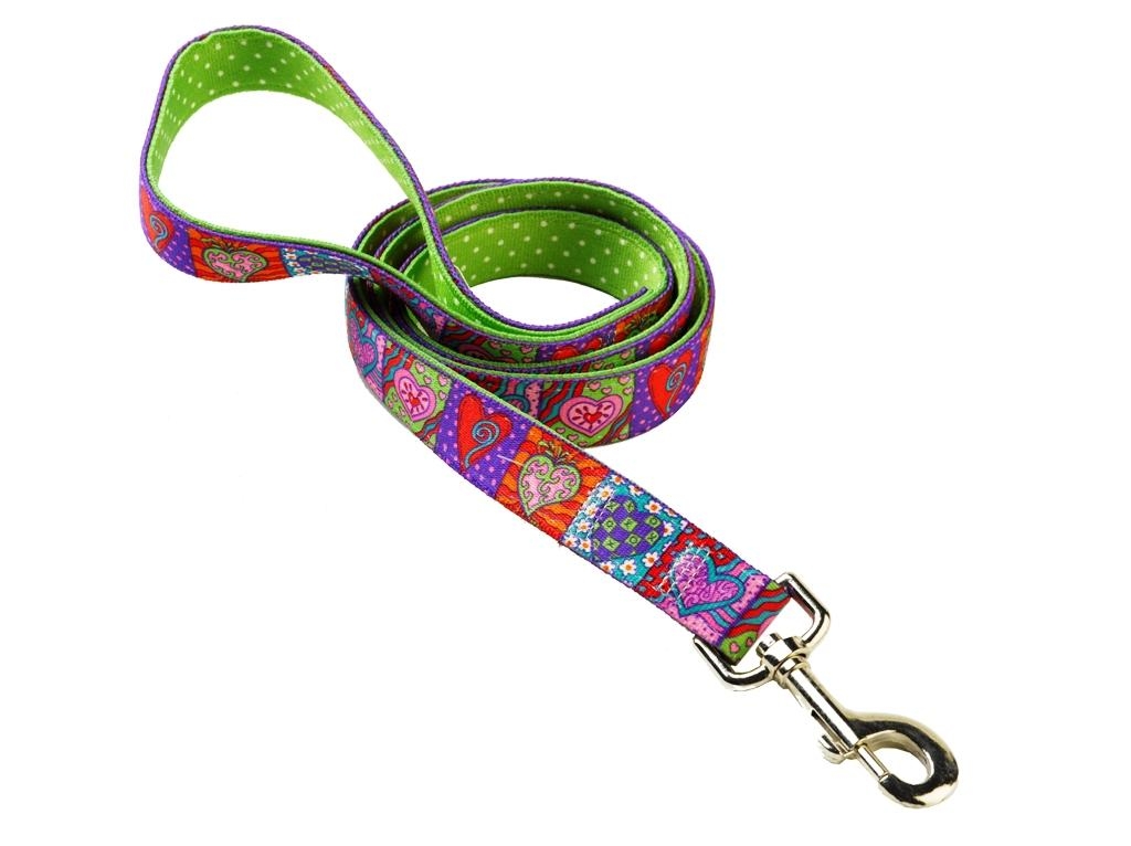 Uptown Crazy Hearts on Green Polka Lead | PJ Pet Products